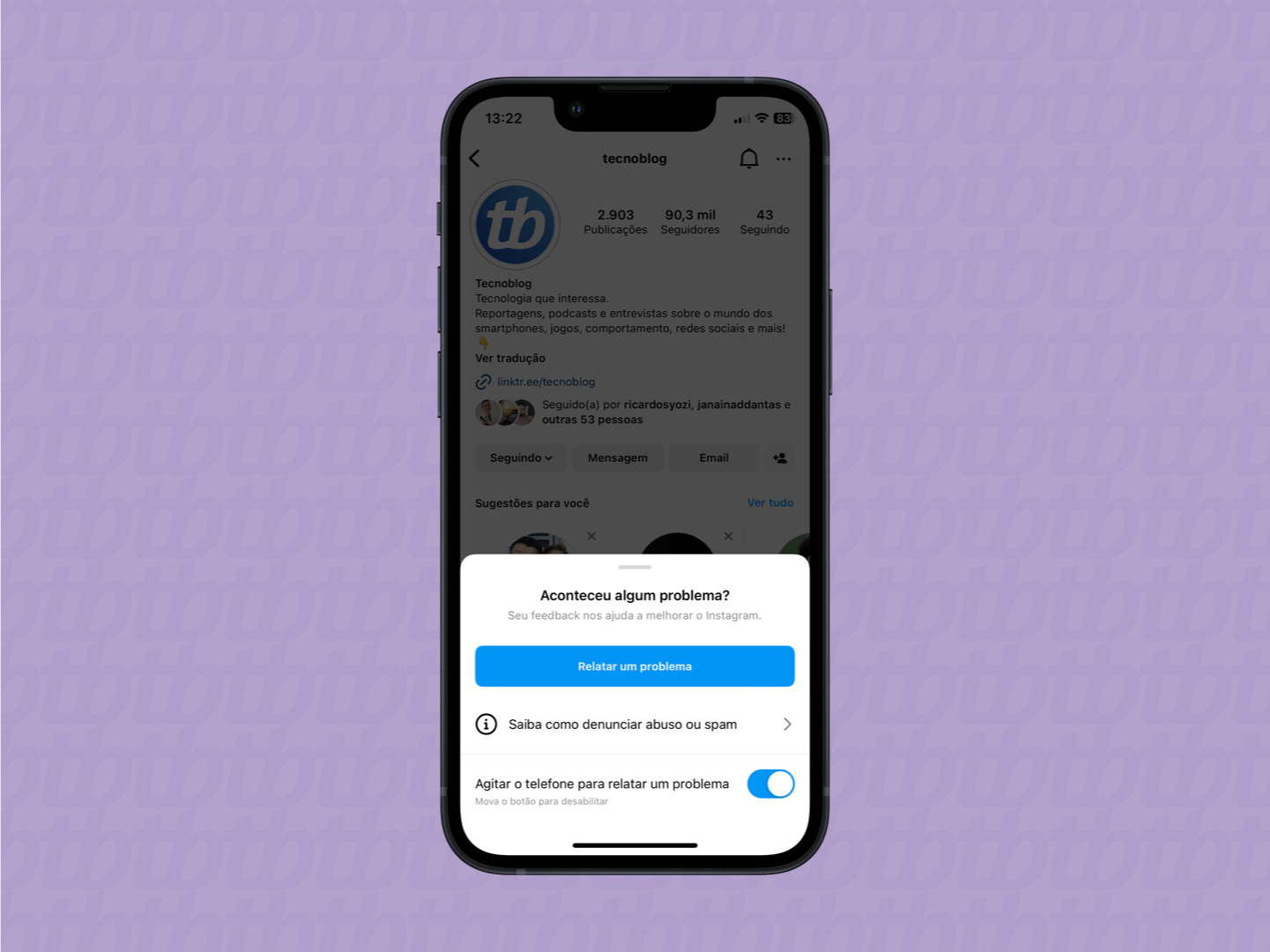 opção de relatar um problema ao instagram