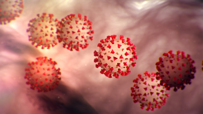 Anvisa aprova testes de coronavírus com resultado em 15 minutos