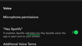 Spotify testa assistente de voz dentro do app para celular
