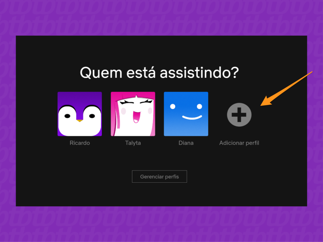 Como criar um perfil na Netflix pelo desktop