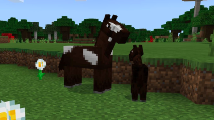 Minecraft: como conseguir selas e domar cavalos?