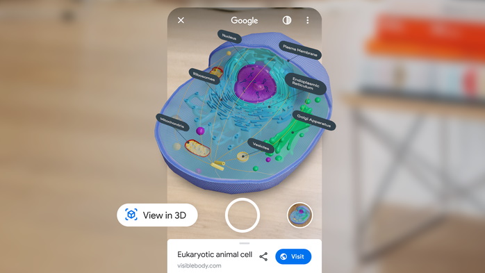 Google mostra células e anatomia humana em 3D na busca