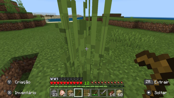 Mundo Minecraft: Como plantar?