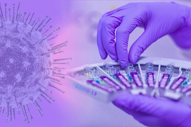 Testes de coronavírus/Pixabay/Fernando Zhiminaicela