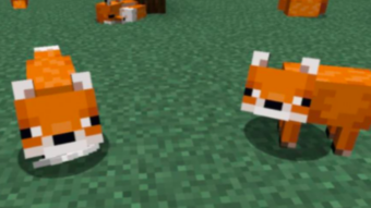 Como domesticar uma raposa no Minecraft