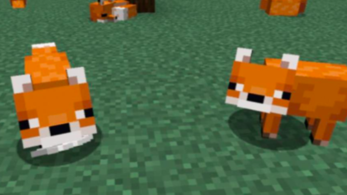 raposas minecraft