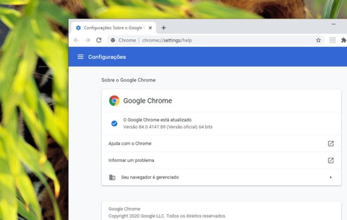 Google Chrome 84