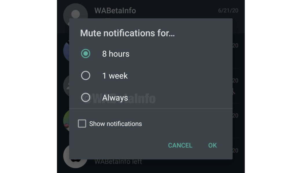 WhatsApp testa opção para silenciar notificações de grupos e pessoas para sempre (Foto: Reprodução/WABetaInfo)