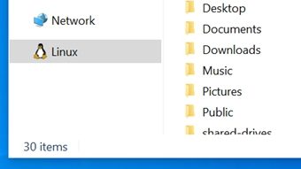 Windows 10 agora suporta sistemas de arquivos do Linux no WSL 2