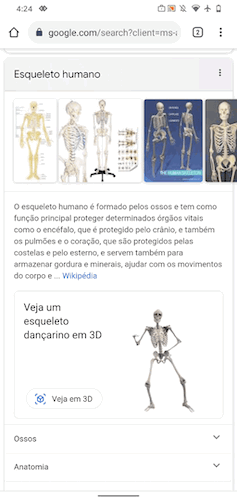 Esqueleto na busca (Imagem: Google)