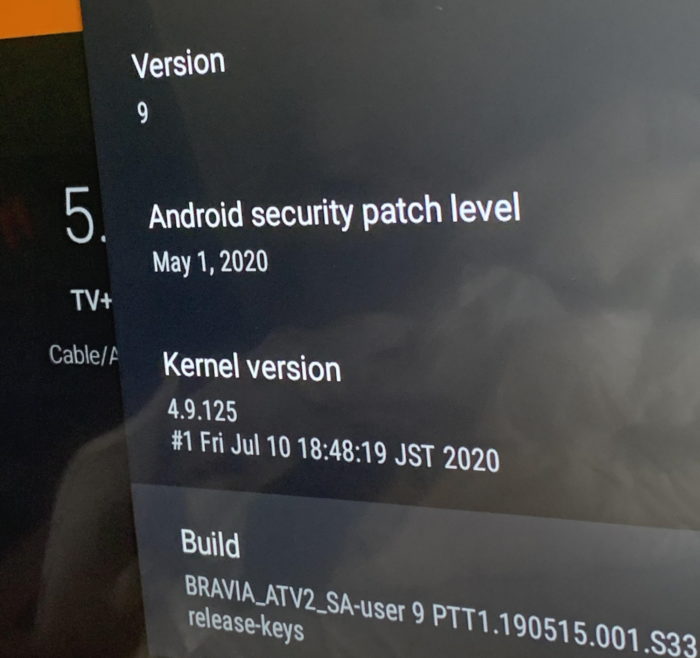 Sony roda Android TV com kernel na versão 9 (Imagem: xvrdmng/Reddit)