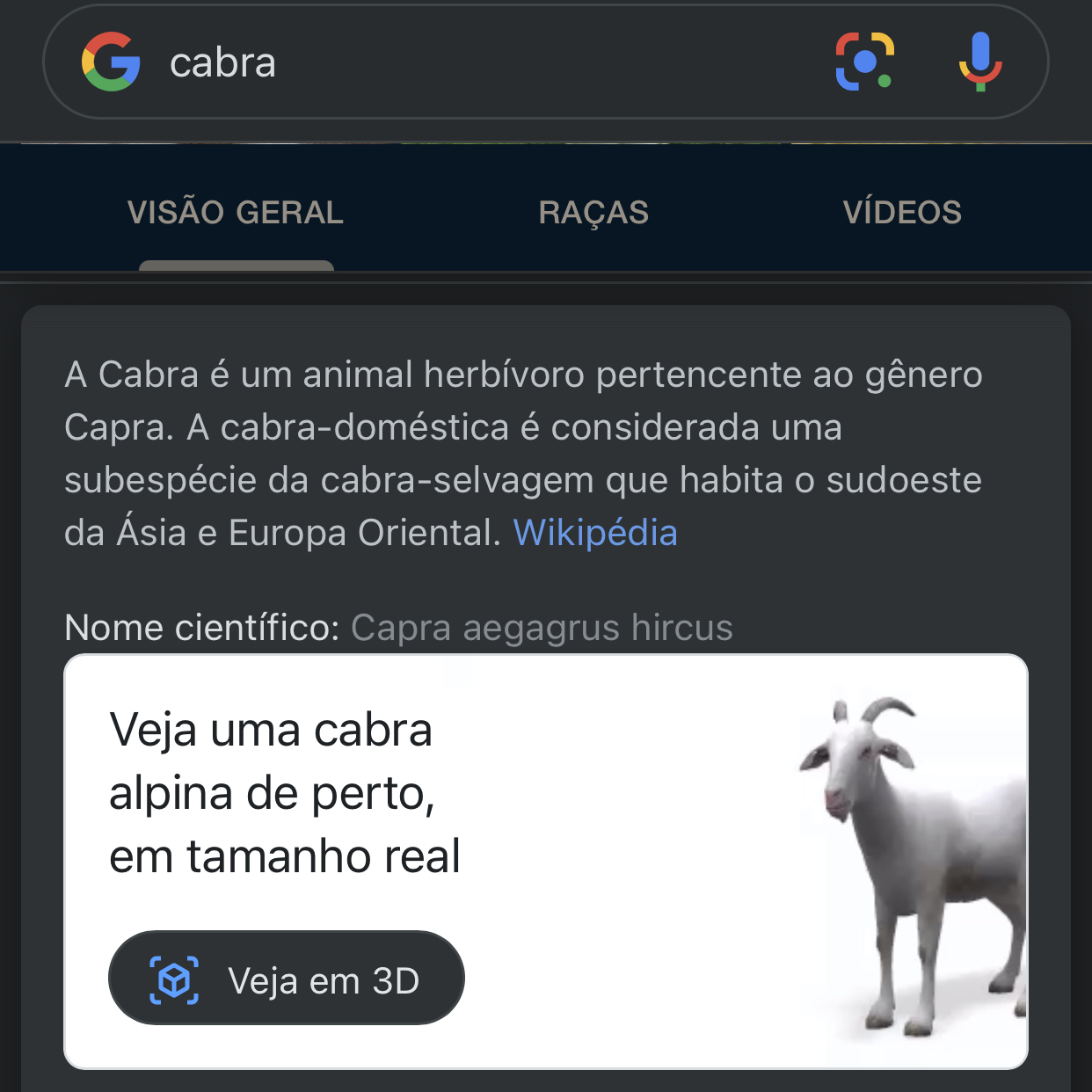 Google 3D: veja como funciona a tecnologia de animais do Google!