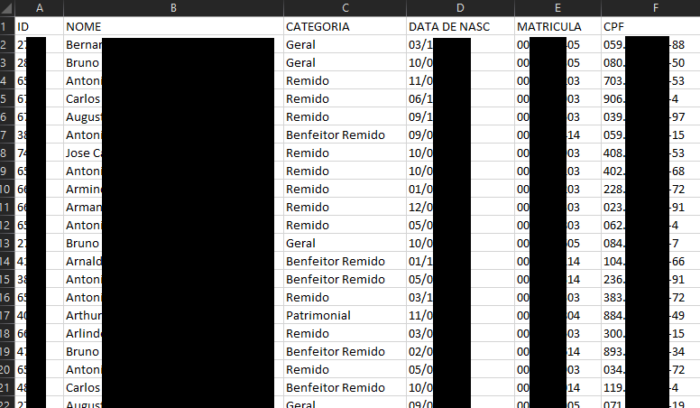 Dados vazados de sócios torcedores do Vasco (Imagem: Reprodução)