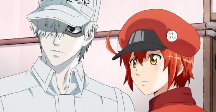 Cells at Work