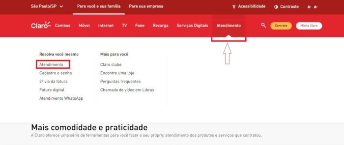 Como cancelar a Claro NET (Imagem: Reprodução / Claro)