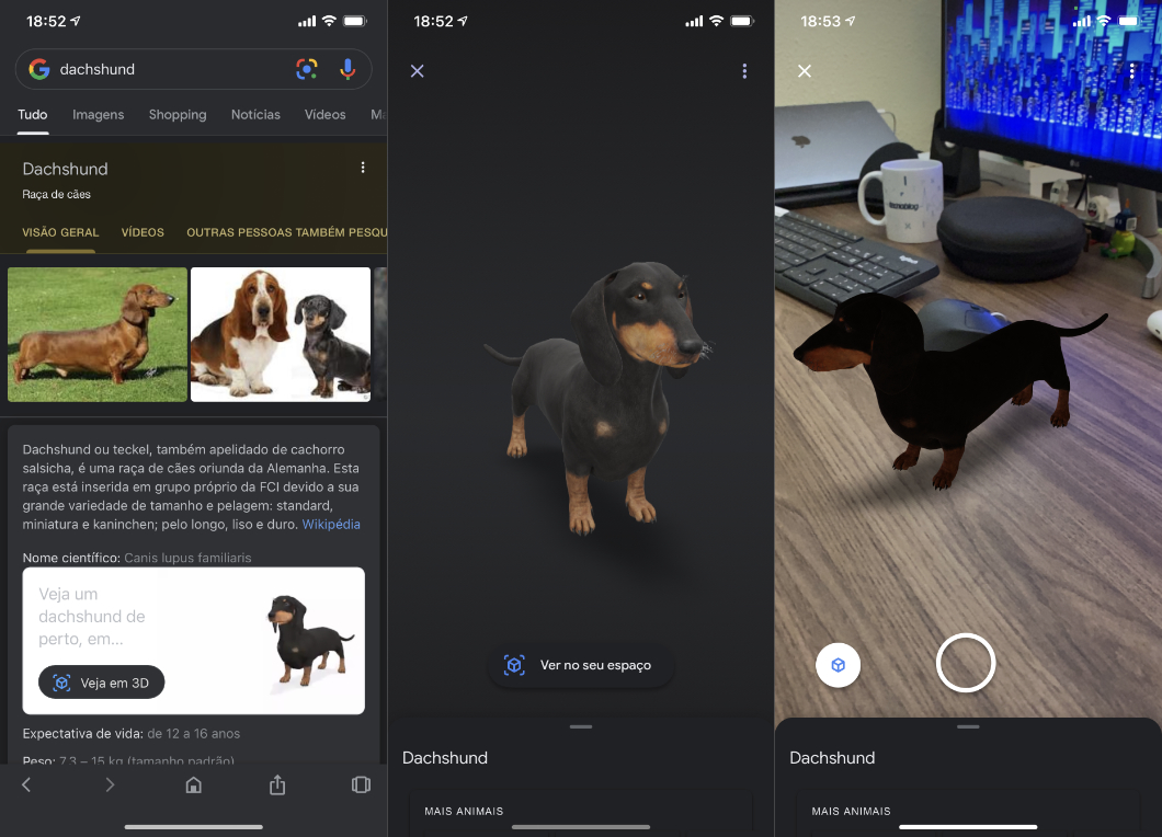 Veja como gravar vídeos com os animais 3D do Google 