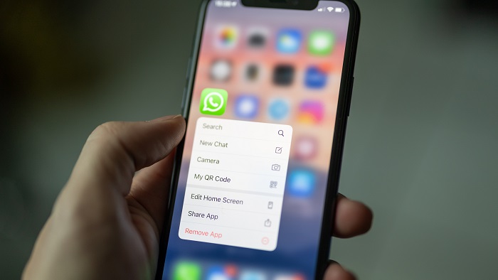 Um celular na tela inicial com o aplicativo do WhatsApp em destaque (Imagem: Dimitri Karastelev/Unsplash)