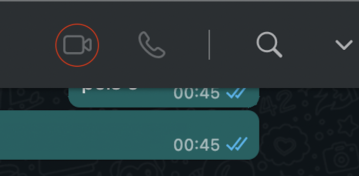 Ícone de chamadas de vídeo e voz no WhatsApp (Imagem: Reprodução/WhatsApp Desktop)