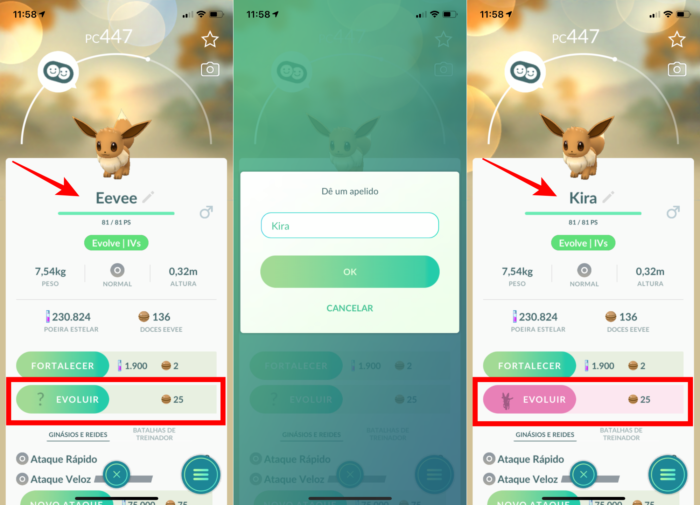 EEVEE SHINY! DIA DA COMUNIDADE! POKÉMON GO 