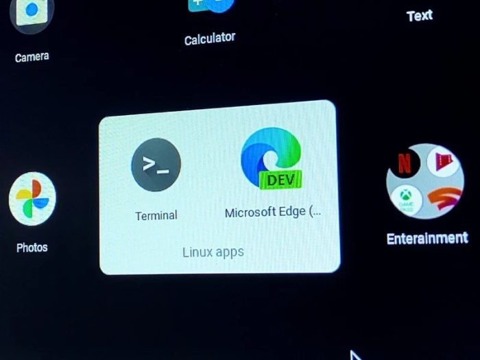 Microsoft Edge em um Chromebook (imagem: Android Central)
