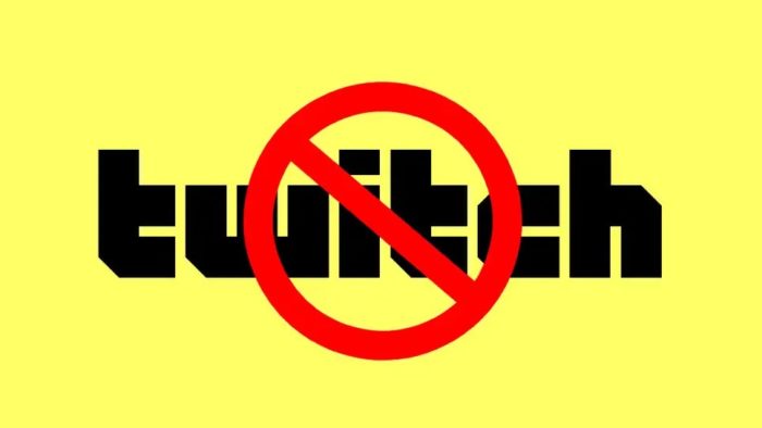 Streamers gringos boicotam Twitch após inércia em casos de assédio