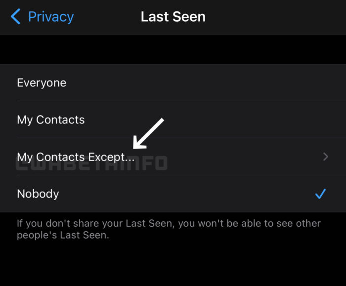 Opção "Meus contatos exceto..." para Visto por último no WhatsApp (Imagem: Reprodução/WABetaInfo)