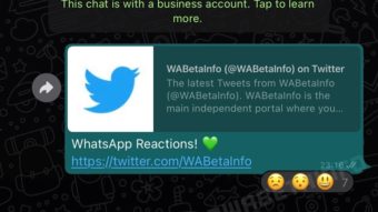 WhatsApp: imagens mostram como reações com emojis vão funcionar