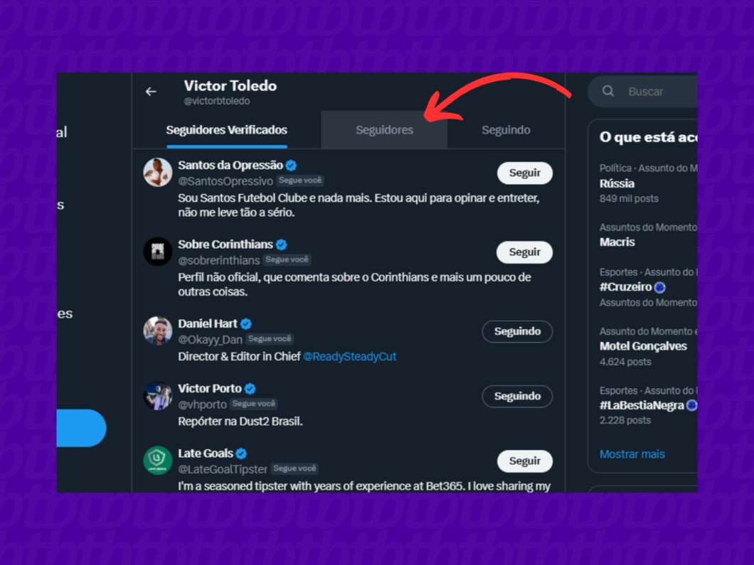 Acesse a página de seguidores do seu perfil do X (Twitter) (Imagem: Reprodução/X)