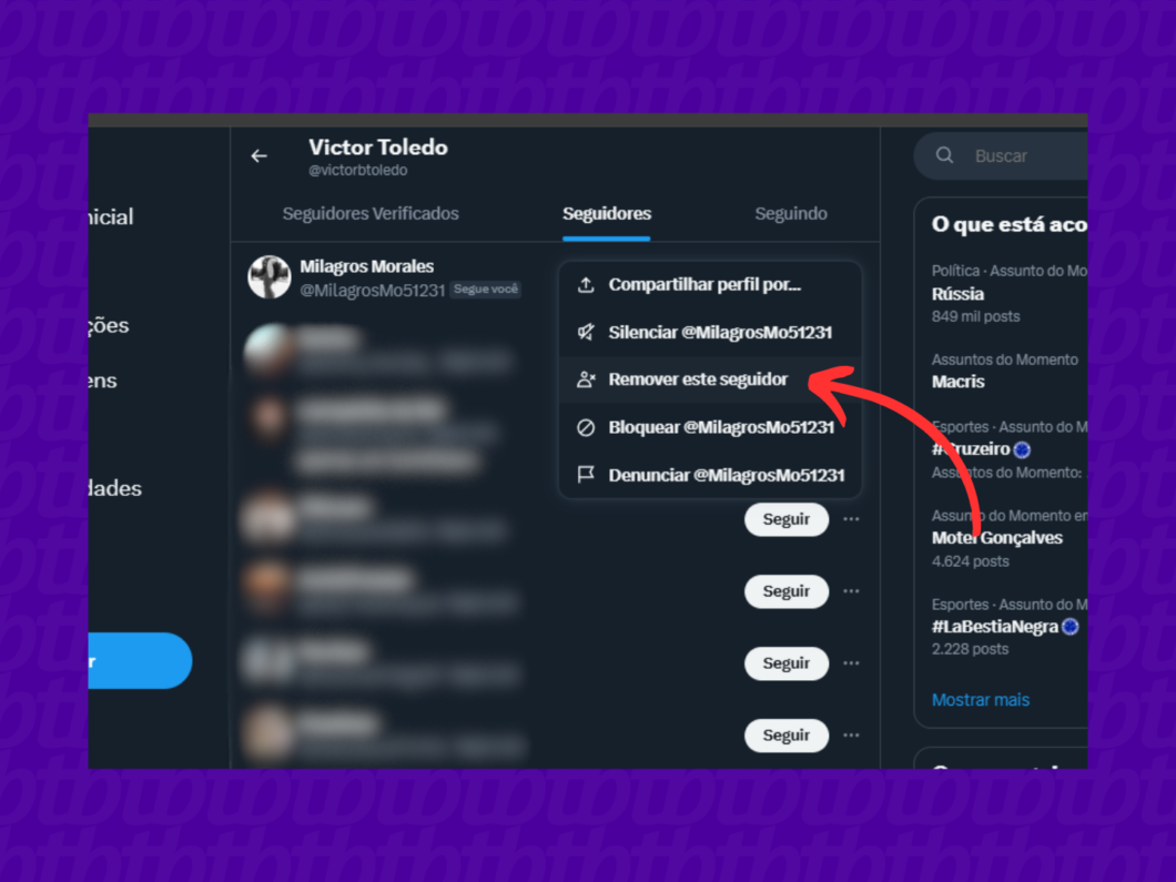 Remova o seguidor no X (Twitter) (Imagem: Reprodução/X)