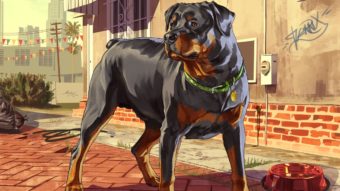 Tudo sobre cachorros e outros animais no GTA