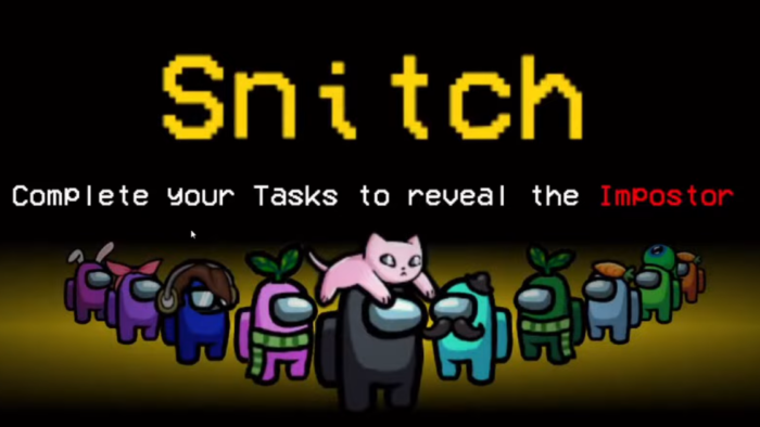 Snitch role