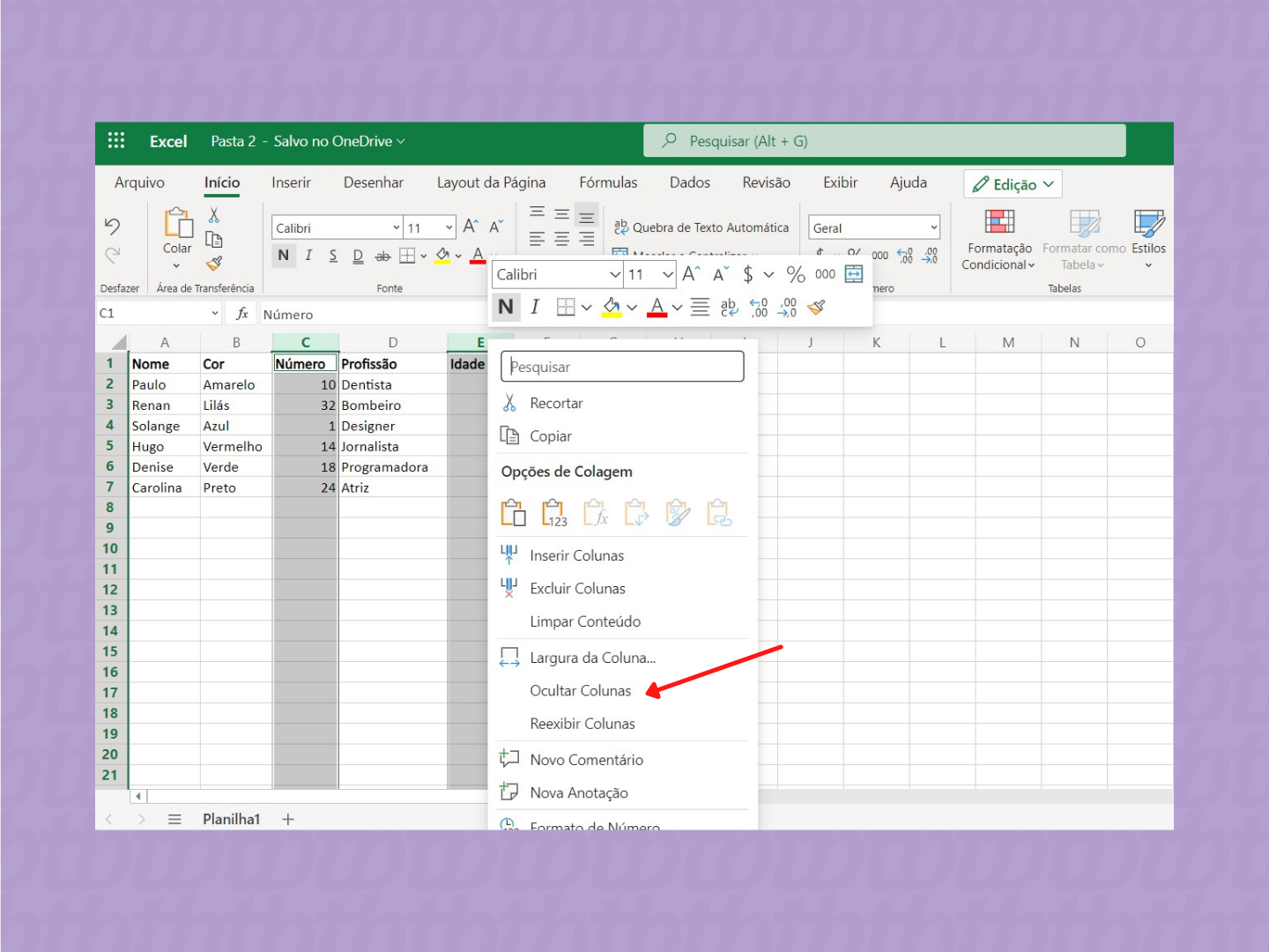 Como ocultar colunas e linhas no Excel / Microsoft Excel / Reprodução