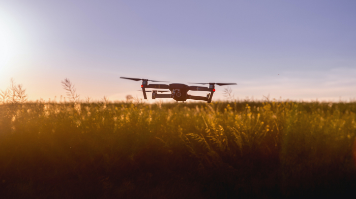 Drones baseados em IA monitoram as plantações (Imagem: Jeshootscom/Pexels)