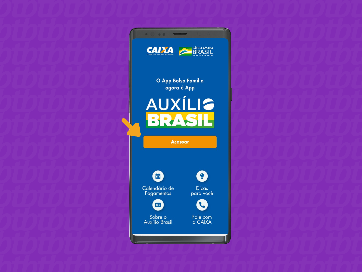 Tela de acesso ao aplicativo Auxílio Brasil