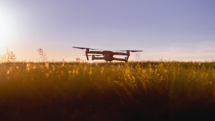 drone sobrevoando plantação