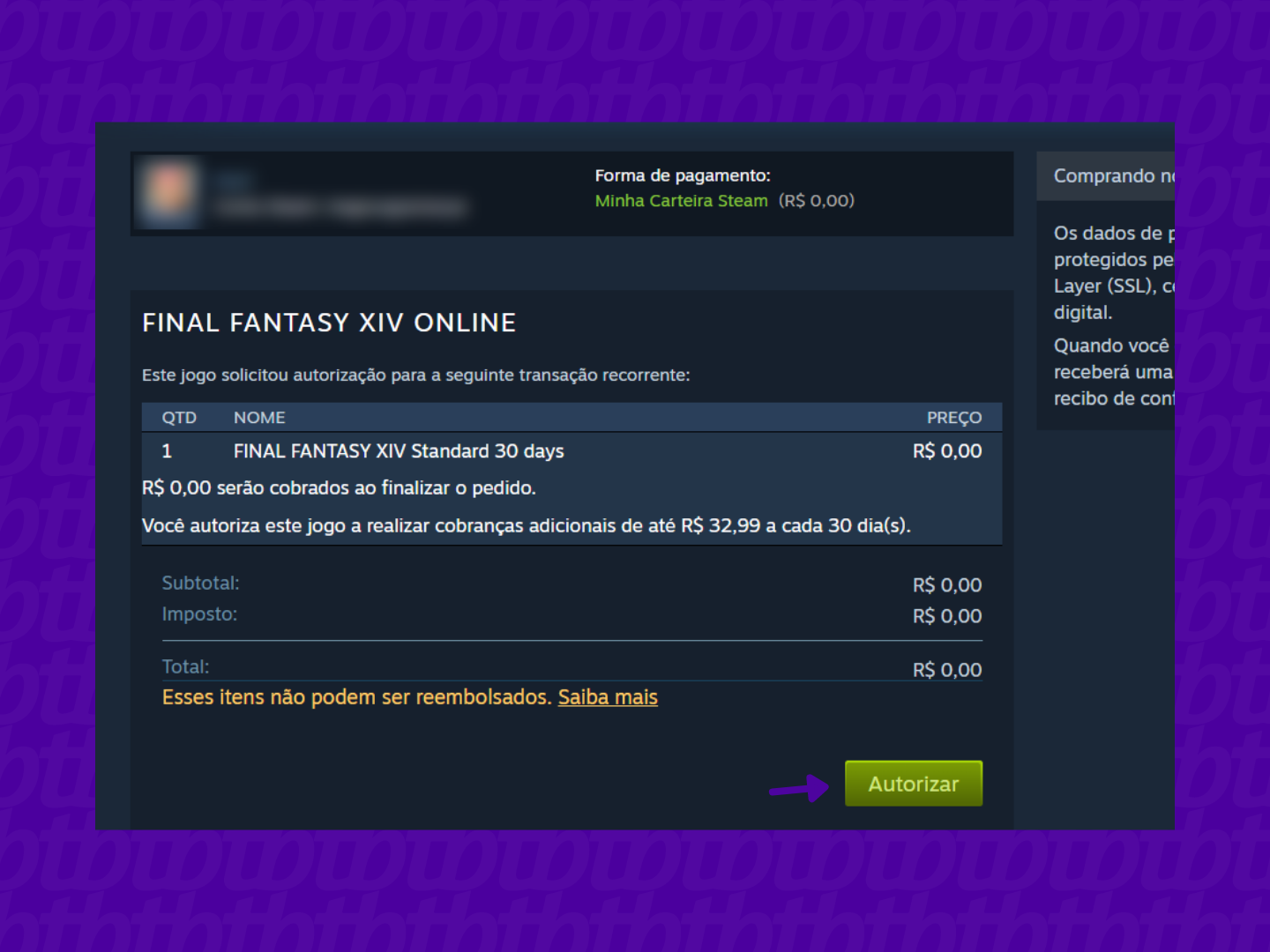 Completing the Final Fantasy 14 monthly purchase via Steam