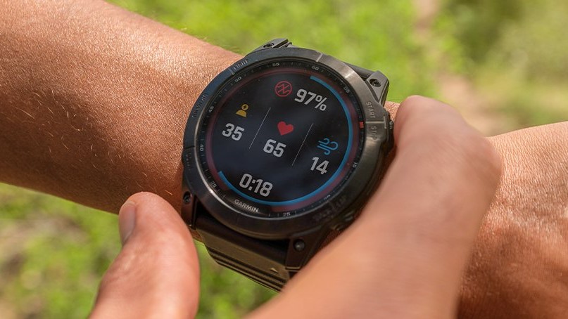 garmin fenix 65