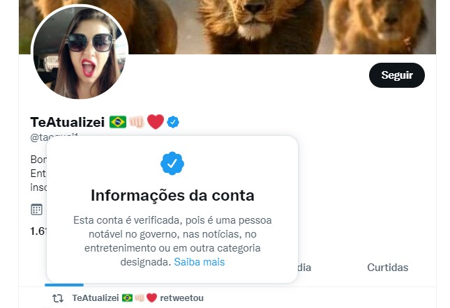 Twitter gave a verification seal to Bárbara Destefani, from the Te Atualizei channel
