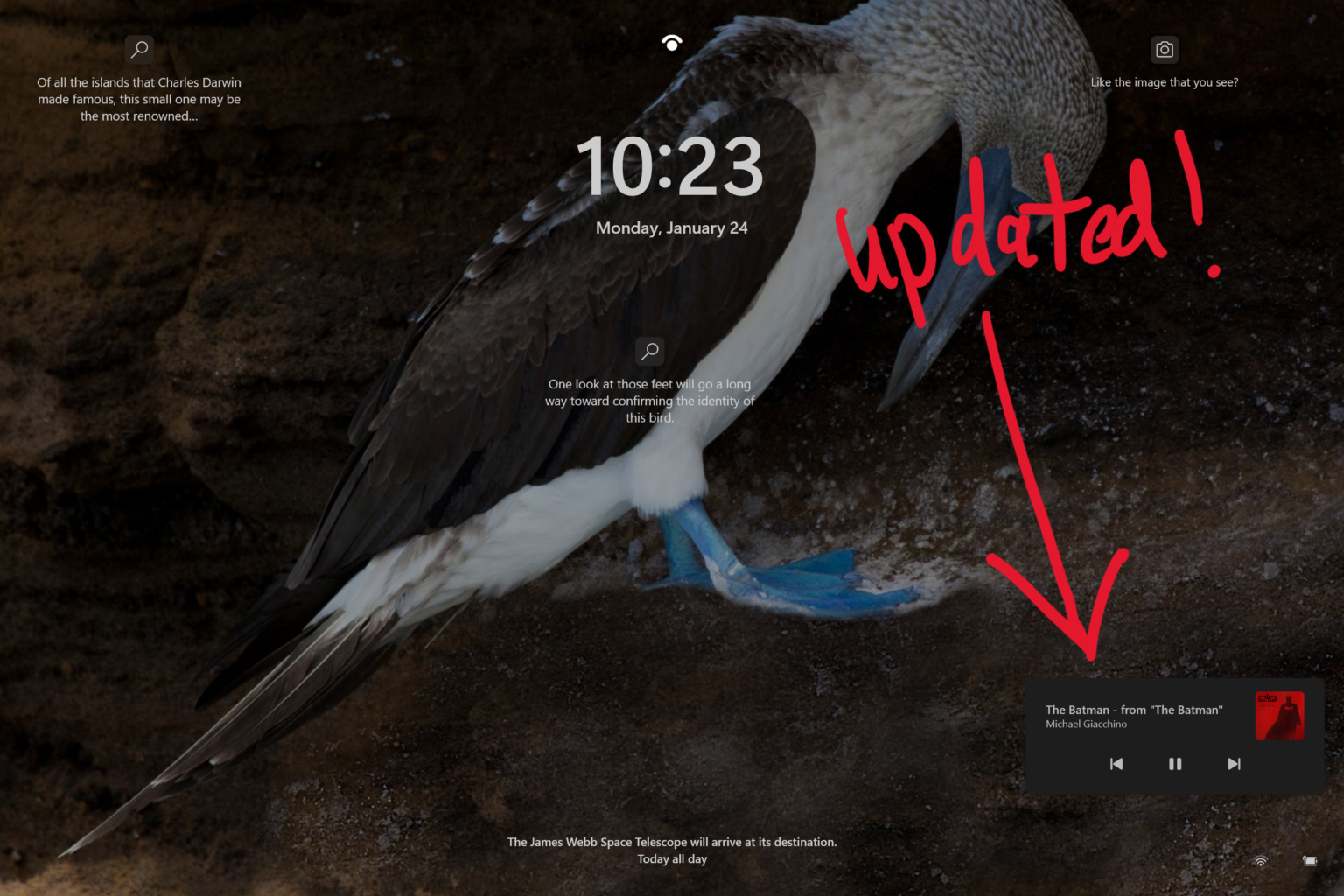 Pr via Do Windows 11 Traz V rios Retoques Na Interface E Novidades No pr-via-do-windows-11-traz-v-rios-retoques-na-interface-e-novidades-no