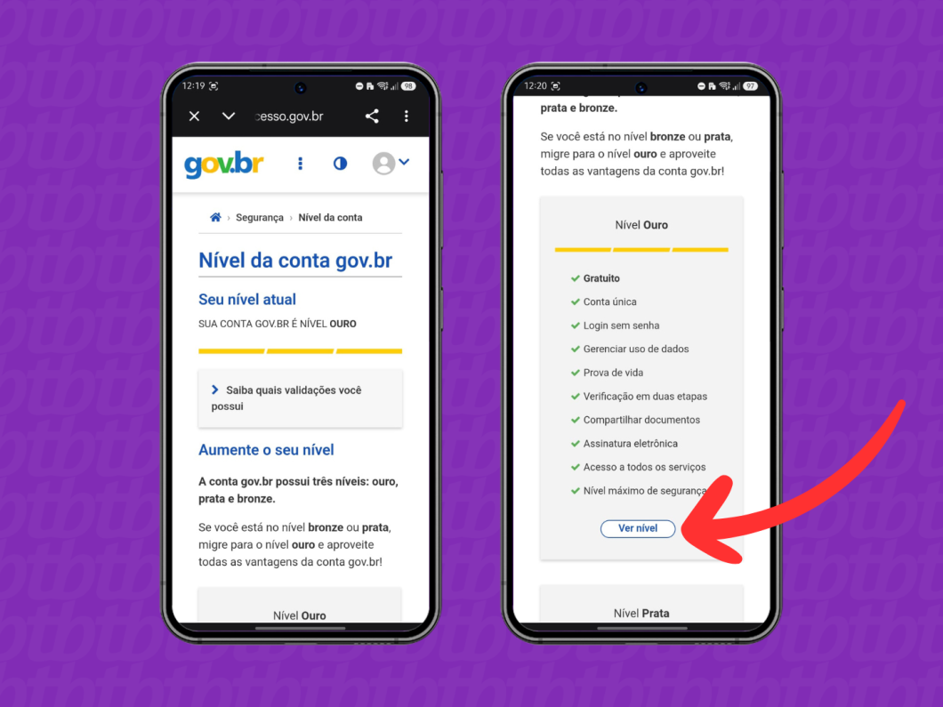 Selecionando as opções do nível Ouro na conta gov.br no aplicativo (indicação de verificação)
