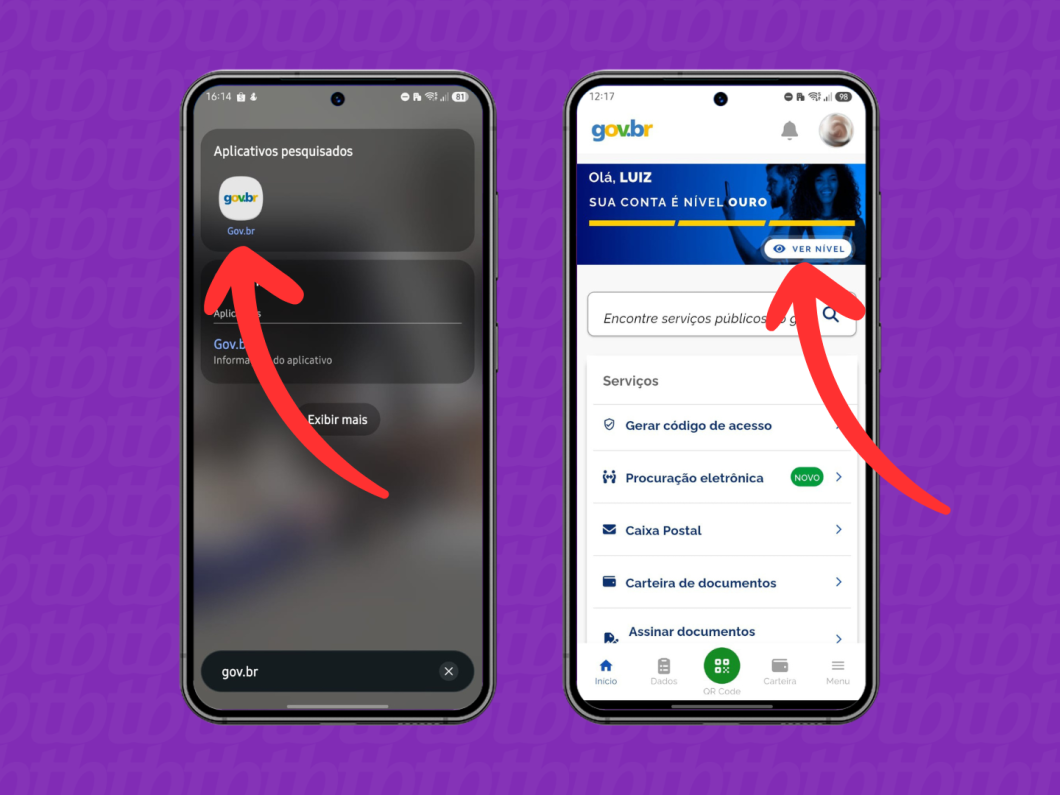 Indo no menu “Ver Nível” no app Gov.br para conferir seu nível da conta