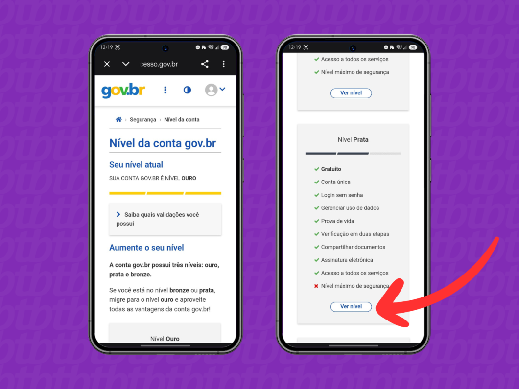 Tela do app gov.br mostrando as opções do nível Prata e o botão “Ver nível” para acessar mais serviços