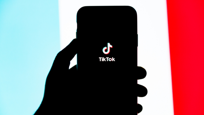 TikTok data was used to spy on journalists (Image: Playback)