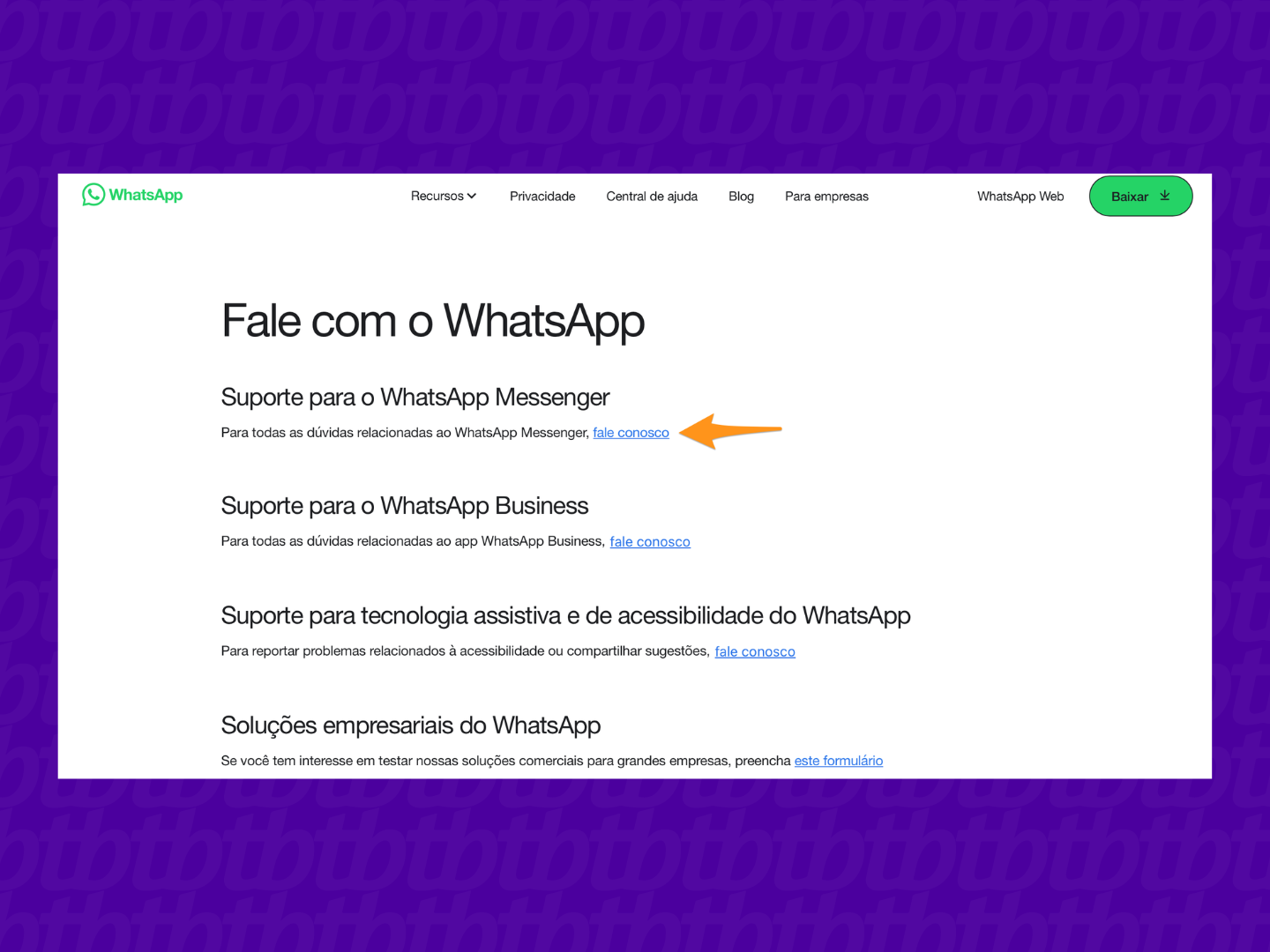 Como acionar o suporte do WhatsApp pelo site