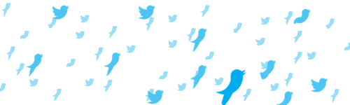 pássaro twitter