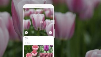 Suas fotos sumiram do Google Fotos? Calma, tem jeito – Tecnoblog