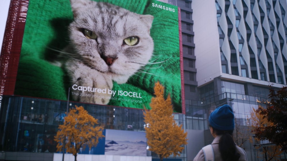 Sim, a Samsung pendurou uma foto gigante de um gato em um prédio (Imagem: Divulgação)