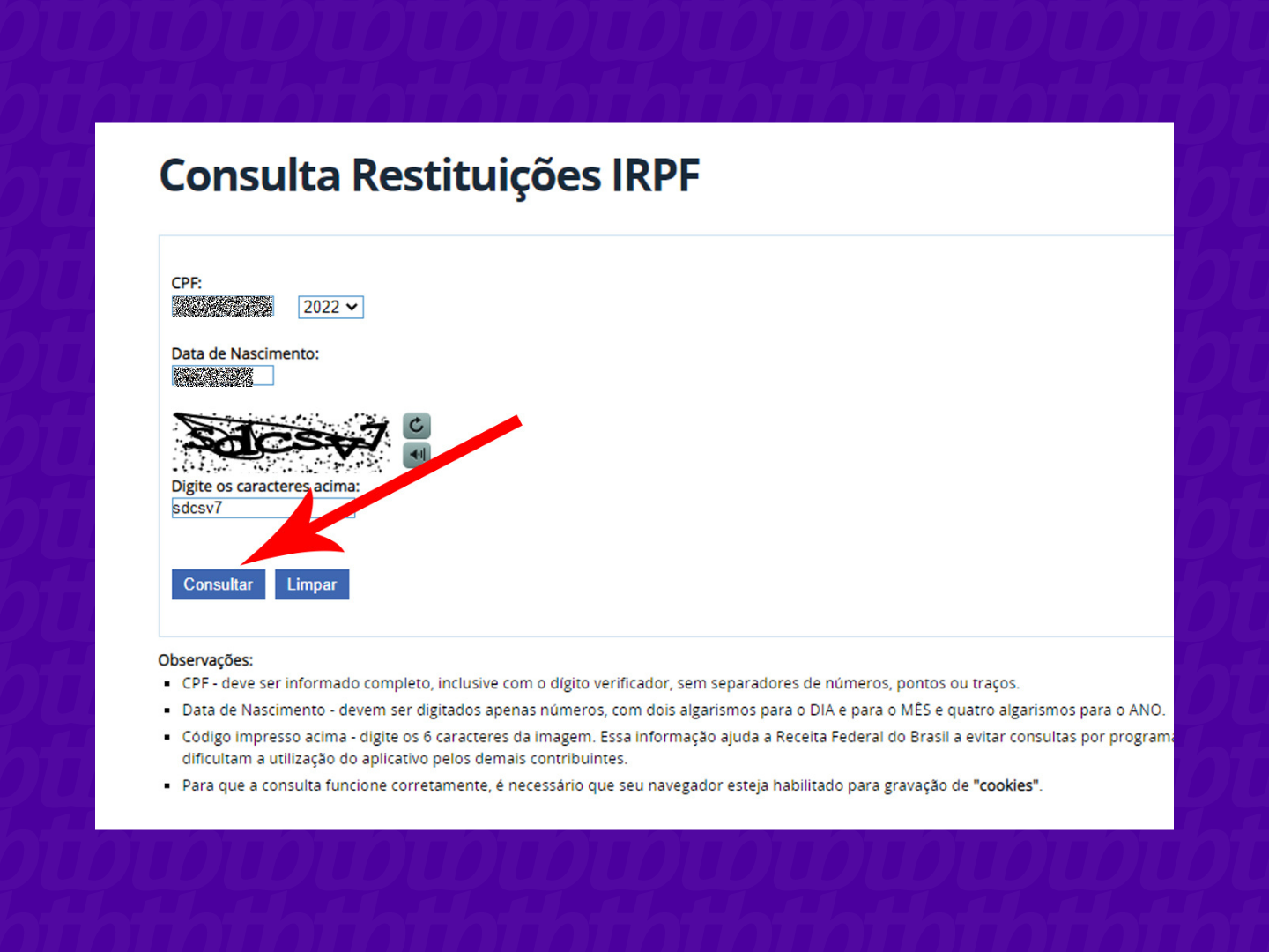 Aprenda em poucos segundos como consultar a sua restituição do imposto