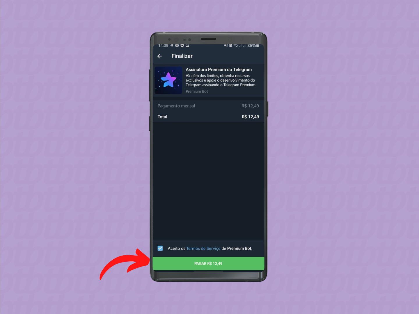 Aceite os termos para fazer a contratação do Telegram Premium (Imagem: Reprodução/Tecnoblog)
