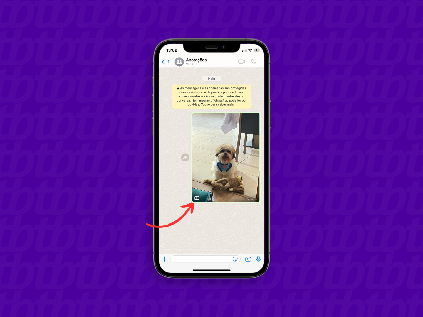 Mockup de iPhone com print de conversa do WhatsApp. Uma seta indica o ícone HD, que remete ao envio de imagens em alta definição.